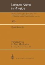 Perspectives in Fluid Mechanics