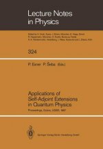 Applications of Self-Adjoint Extensions in Quantum Physics, 1