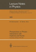 Perspectives on Photon Interactions with Hadrons and Nuclei