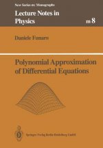 Polynomial Approximation of Differential Equations, 1