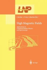 High Magnetic Fields, 1