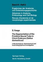 Segmentation of the Primitive Neural Tube in Chick Embryos (Gallus Domesticus)
