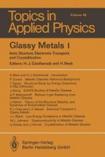 Glassy Metals I, 1