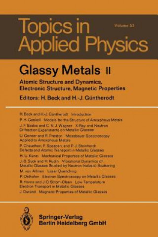 Glassy Metals II, 1