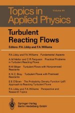 Turbulent Reacting Flows