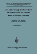 Bedeutung Der Chromate Fur Die Gesundheit Der Arbeiter