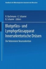 Blutgefass- und Lymphgefassapparat Innersekretorische Drusen