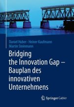 Bridging the Innovation Gap - Bauplan des innovativen Unternehmens