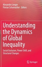 Understanding the Dynamics of Global Inequality