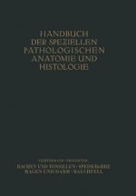 Rachen und Tonsillen; Speiserohre; Magen und Darm; Bauchfell