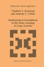 Mathematical Foundations of the State Lumping of Large Systems, 1
