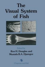Visual System of Fish
