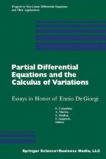 Partial Differential Equations and the Calculus of Variations, 2