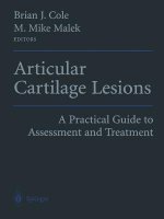 Articular Cartilage Lesions