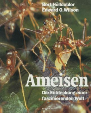 Ameisen