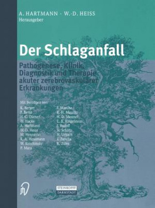 Der Schlaganfall, 1