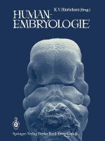 Humanembryologie, 2