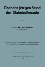 UEber Den Jetzigen Stand Der Diabetestherapie