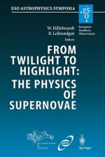 From Twilight to Highlight: The Physics of Supernovae, 1