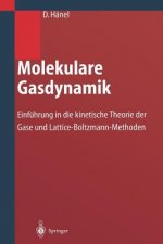 Molekulare Gasdynamik