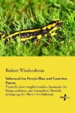 Salamandrina Perspicillata und Geotriton Fuscus