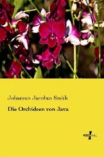 Die Orchideen von Java