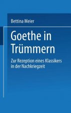 Goethe in Trummern