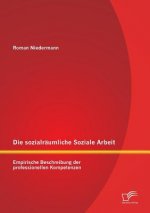 sozialraumliche Soziale Arbeit
