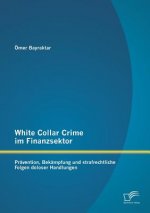 White Collar Crime im Finanzsektor