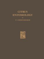 Citrus Entomology, 1