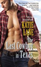 Last Cowboy in Texas