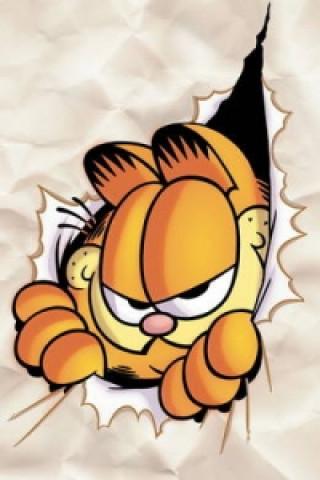 Garfield Vol. 5