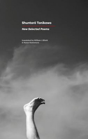 New Selected Poems