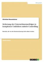 Sicherung des Unternehmenserfolges in komplexen Umfeldern mittels Controlling