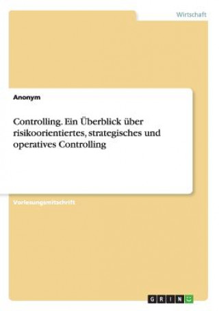 Controlling. Ein UEberblick uber risikoorientiertes, strategisches und operatives Controlling
