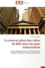 Mise En Place Des Ratios de B le Dans Les Pays Industrialis s