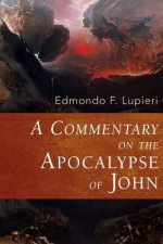 Commentary on the Apocalypse of John