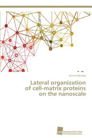 Lateral organization of cell-matrix proteins on the nanoscale