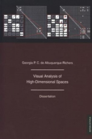 Visual Analysis of High-Dimensional Spaces