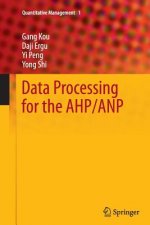 Data Processing for the AHP/ANP
