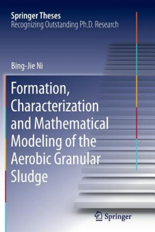 Formation, characterization and mathematical modeling of the aerobic granular sludge