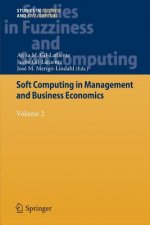 Soft Computing in Management and Business Economics