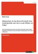 Klimaschutz. Ist das Kyoto-Protokoll reine Symbolpolitik oder hat es reale Effekte zur Folge?