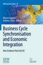 Business Cycle Synchronisation and Economic Integration