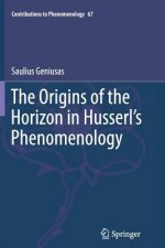 Origins of the Horizon in Husserl's Phenomenology
