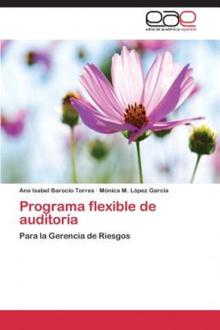 Programa flexible de auditoria