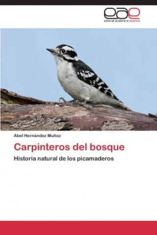 Carpinteros del bosque