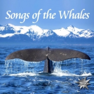 Songs Of The Whales, 1 Audio-CD