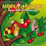 Warum schmecken Kirschen süß?, 1 Audio-CD