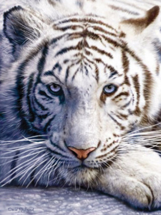 Weißer Tiger (Puzzle)